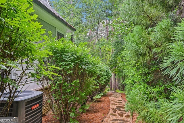 81 Cane Mill Ln, Dahlonega, GA 30533 - view of yard