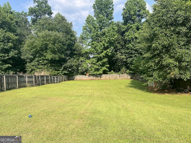 740 Pebble Blvd, Covington, GA 30016 - view of yard