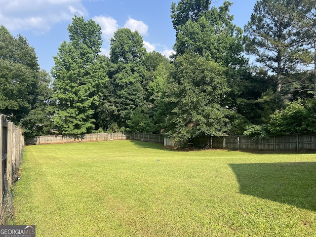 740 Pebble Blvd, Covington, GA 30016 - view of yard