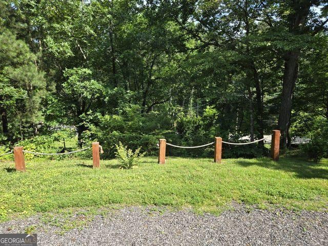 81 Shrader Ln, Ringgold, GA 30736 - view of yard