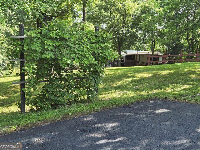 81 Shrader Ln, Ringgold, GA 30736 - view of grassy yard