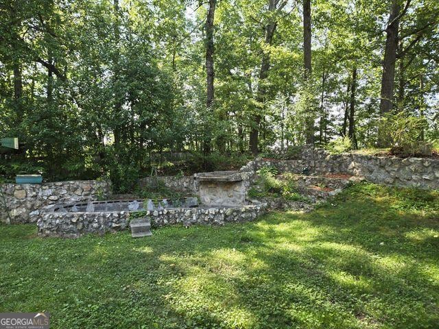 81 Shrader Ln, Ringgold, GA 30736 - view of green lawn