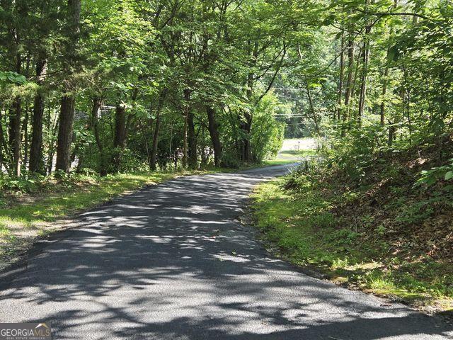 81 Shrader Ln, Ringgold, GA 30736 - view of road featuring a wooded view