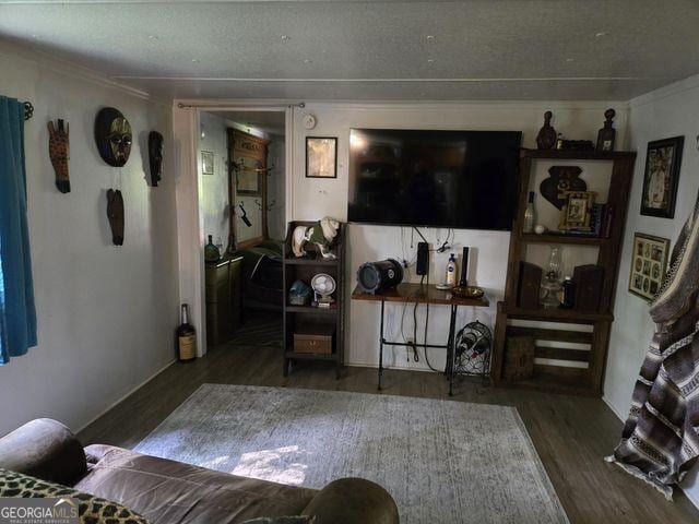 81 Shrader Ln, Ringgold, GA 30736 - living room with ornamental molding and wood finished floors