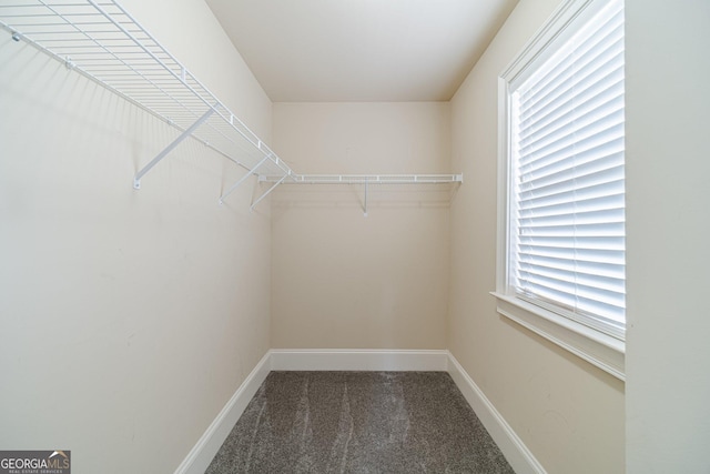 1022 Nestling Dr, Lawrenceville, GA 30045 - spacious closet featuring carpet