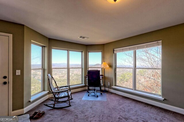 296 Tallulah Vw, Tallulah Falls, GA 30573 - sitting room featuring plenty of natural light and carpet flooring