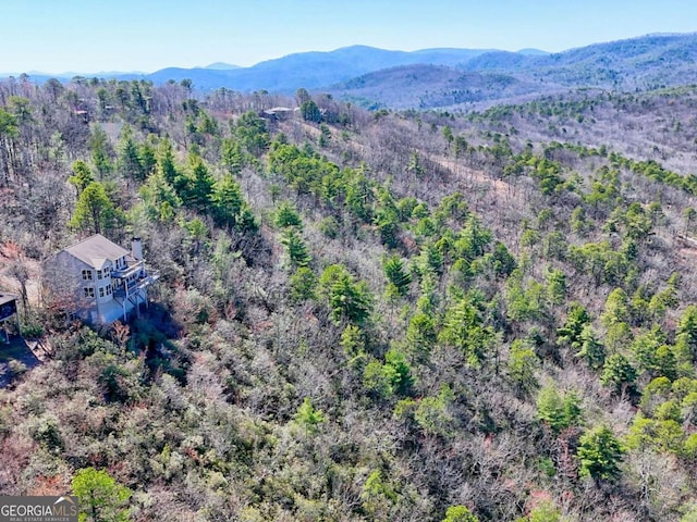 296 Tallulah Vw, Tallulah Falls, GA 30573 - view of subject property featuring a mountainous background and a heavily wooded area