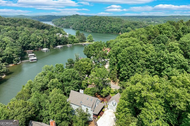 289 Chestatee View Dr, Dawsonville, GA 30534
