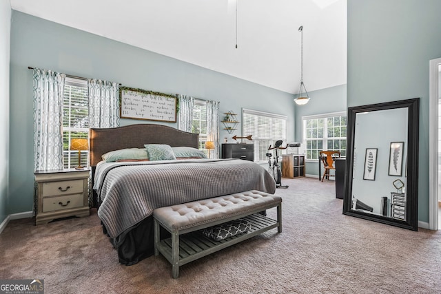 167 Maggies Pt, Dallas, GA 30132 - bedroom with carpet and high vaulted ceiling