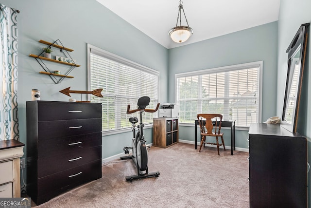 167 Maggies Pt, Dallas, GA 30132 - exercise area featuring carpet and baseboards