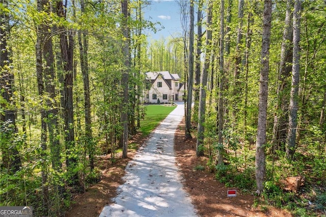 4235 Drew Campground Rd, Alpharetta, GA 30004 - view of road featuring a view of trees