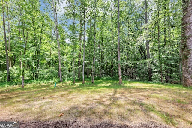 4235 Drew Campground Rd, Alpharetta, GA 30004 - view of yard with a forest view