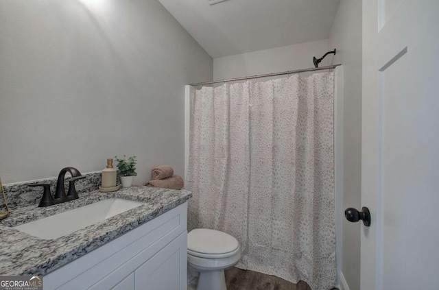 315 Arbor Cir, Rockmart, GA 30153 - full bath with toilet, vanity, wood finished floors, and a shower with shower curtain