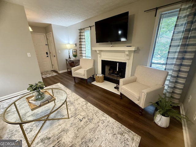 3915 Woodridge Way, Tucker, GA 30084 - living area featuring wood finished floors, a fireplace with flush hearth, healthy amount of natural light, and a textured ceiling