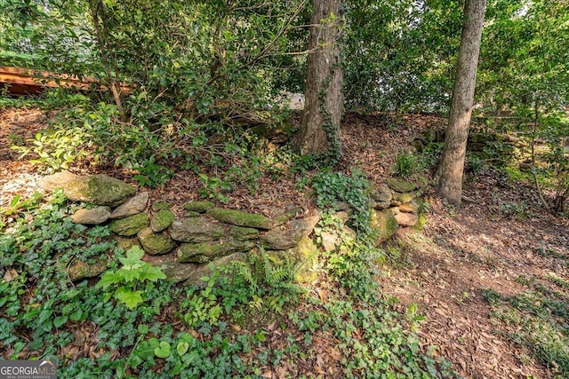 546 Pulaski St, Athens, GA 30601 - view of local wilderness