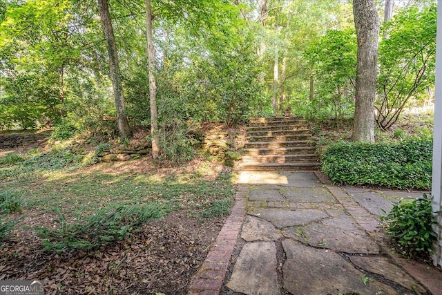 546 Pulaski St, Athens, GA 30601 - view of yard with stairway and a forest view