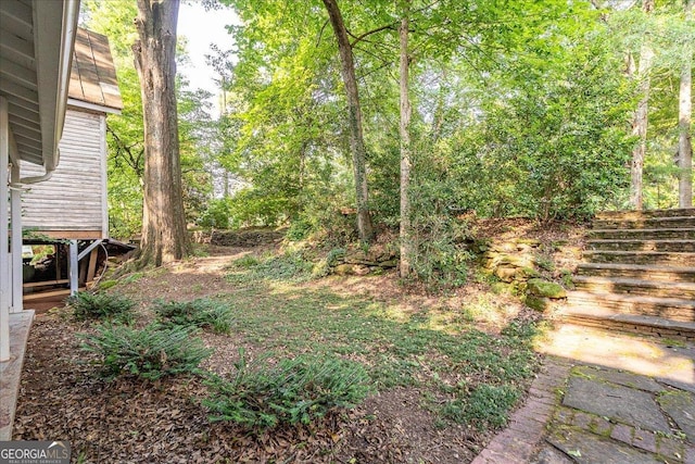 546 Pulaski St, Athens, GA 30601 - view of yard with stairs