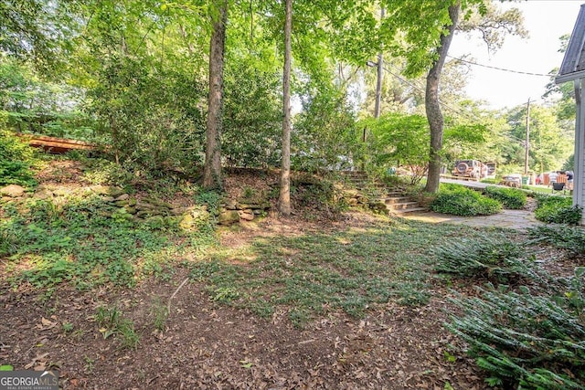 546 Pulaski St, Athens, GA 30601 - view of yard with stairs