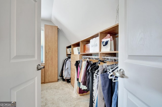 505 Lighthouse Ln, Peachtree City, GA 30269 - spacious closet with lofted ceiling and carpet flooring