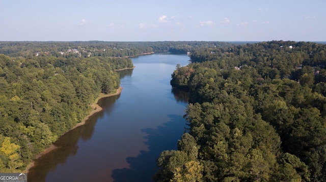 505 Lighthouse Ln, Peachtree City, GA 30269 - bird's eye view of a heavily wooded area and a nearby body of water
