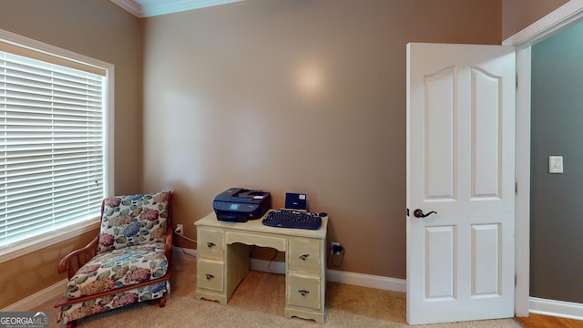 657 Halls Bridge Rd, Swainsboro, GA 30401 - office area featuring baseboards, light carpet, and crown molding