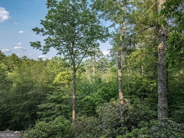 9 Dean Ct, Blue Ridge, GA 30513 - view of wooded area