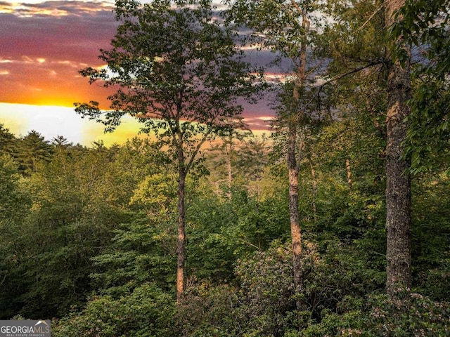 9 Dean Ct, Blue Ridge, GA 30513 - nature at dusk featuring a view of trees