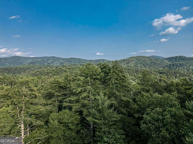 9 Dean Ct, Blue Ridge, GA 30513 - view of mountain backdrop featuring a heavily wooded area