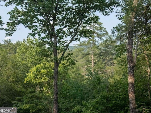 9 Dean Ct, Blue Ridge, GA 30513 - view of tree filled area