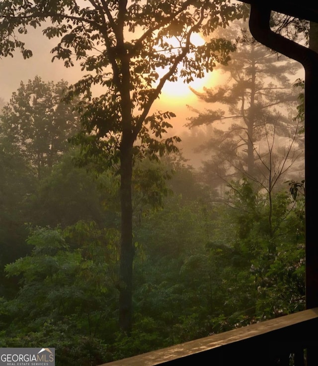 9 Dean Ct, Blue Ridge, GA 30513 - nature at dusk featuring a view of trees