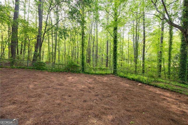 69 Due W Pass, Dallas, GA 30157 - view of woods