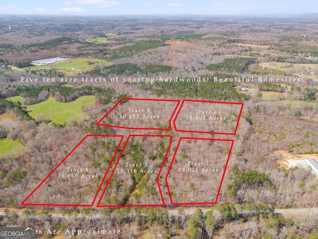 TRACT3 Georgia Highway 100, Buchanan, GA 30113 - aerial view of property's location featuring property boundaries highlighted