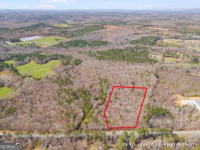 TRACT3 Georgia Highway 100, Buchanan, GA 30113 - aerial overview of property's location with property boundaries highlighted