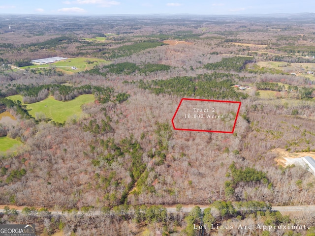TRACT3 Georgia Highway 100, Buchanan, GA 30113 - aerial overview of property's location featuring property parcel outlined