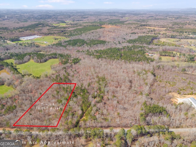 TRACT3 Georgia Highway 100, Buchanan, GA 30113 - view of property location with property boundaries highlighted