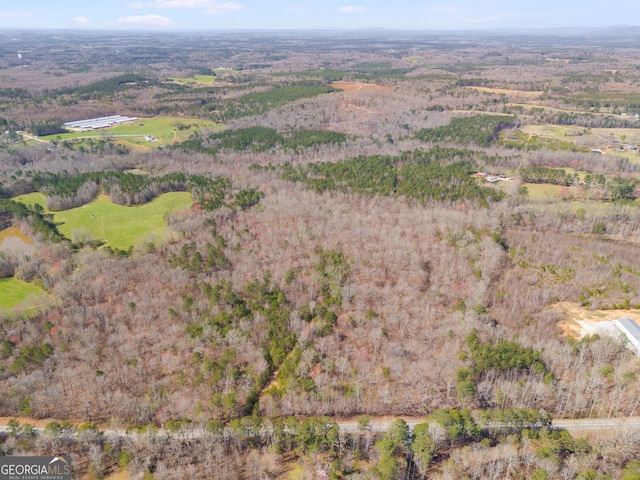 TRACT3 Georgia Highway 100, Buchanan, GA 30113 - aerial view of property's location