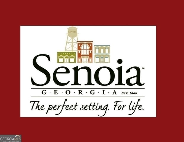 375 Werner Way, Senoia, GA 30276 - view of miscellaneous document