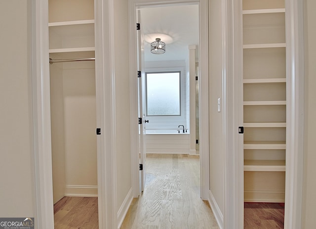 375 Werner Way, Senoia, GA 30276 - hall with light wood finished floors