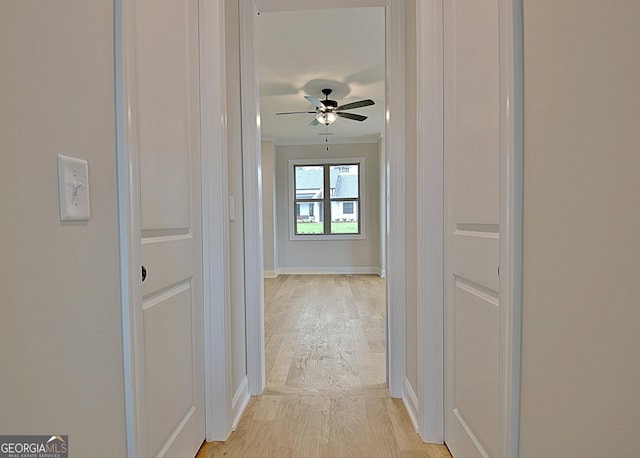 375 Werner Way, Senoia, GA 30276 - hallway with light wood-style floors and baseboards