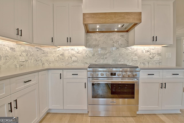 375 Werner Way, Senoia, GA 30276 - kitchen featuring high end range, premium range hood, light countertops, and a tray ceiling