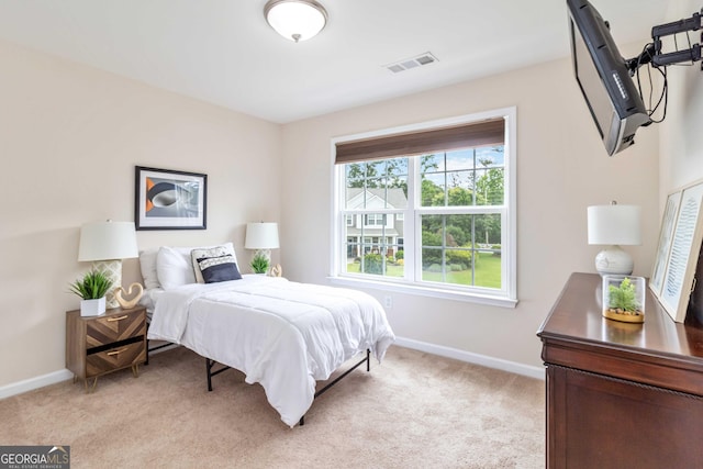 441 Spring View Dr, Woodstock, GA 30188 - bedroom featuring baseboards and light colored carpet