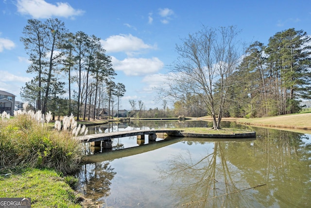 441 Spring View Dr, Woodstock, GA 30188 - dock area with a water view