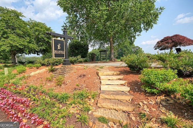 11940 Mountain Laurel Dr, Roswell, GA 30075 - view of yard