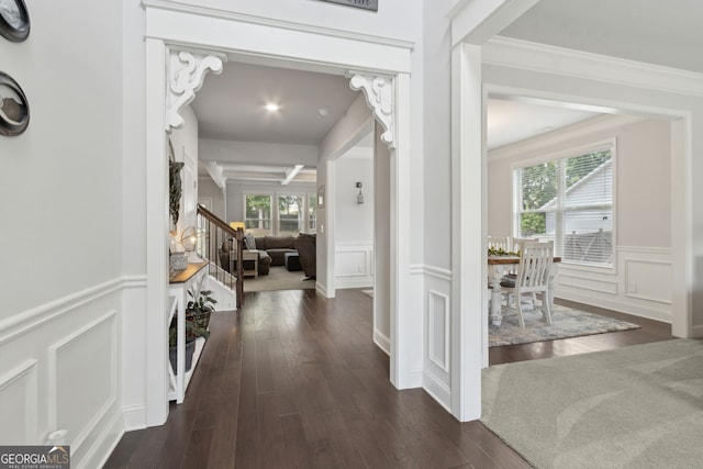 836 Hawkins Creek Dr, Jefferson, GA 30549 - entrance foyer with a decorative wall, dark wood-style floors, a wainscoted wall, ornamental molding, and stairs