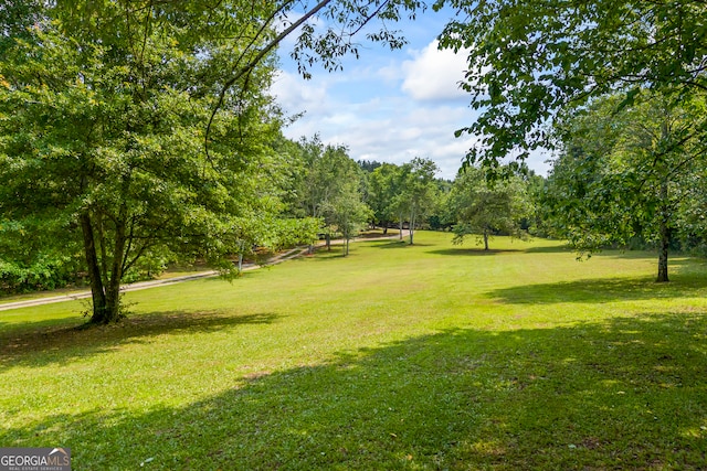 136 Wedgewood Dr, Danielsville, GA 30633 - view of green lawn featuring view of wooded area