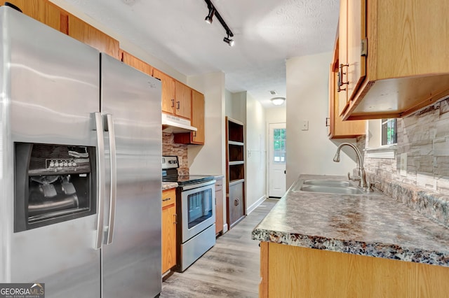 85 Prestigious Pl, Senoia, GA 30276 - kitchen featuring appliances with stainless steel finishes, a sink, under cabinet range hood, light wood-style floors, and tasteful backsplash