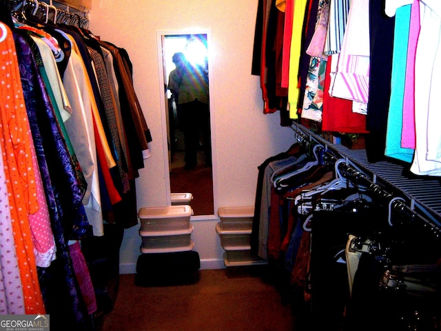 225 Long Creek Dr, Covington, GA 30016 - view of spacious closet