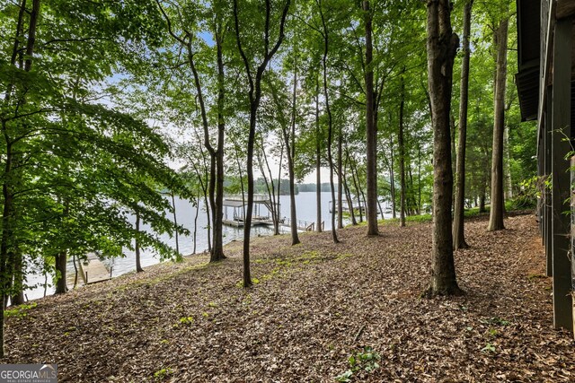 221 Hickory Nut Trl, Dawsonville, GA 30534