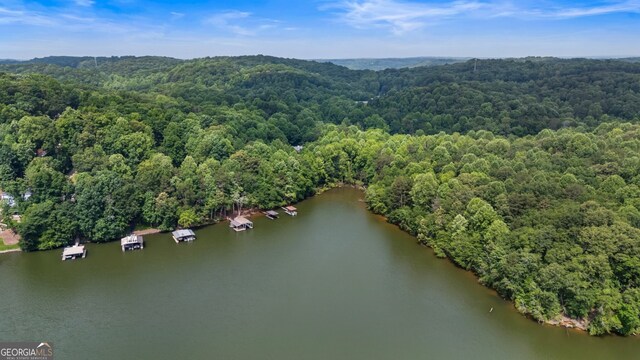 221 Hickory Nut Trl, Dawsonville, GA 30534