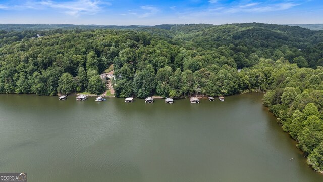 221 Hickory Nut Trl, Dawsonville, GA 30534